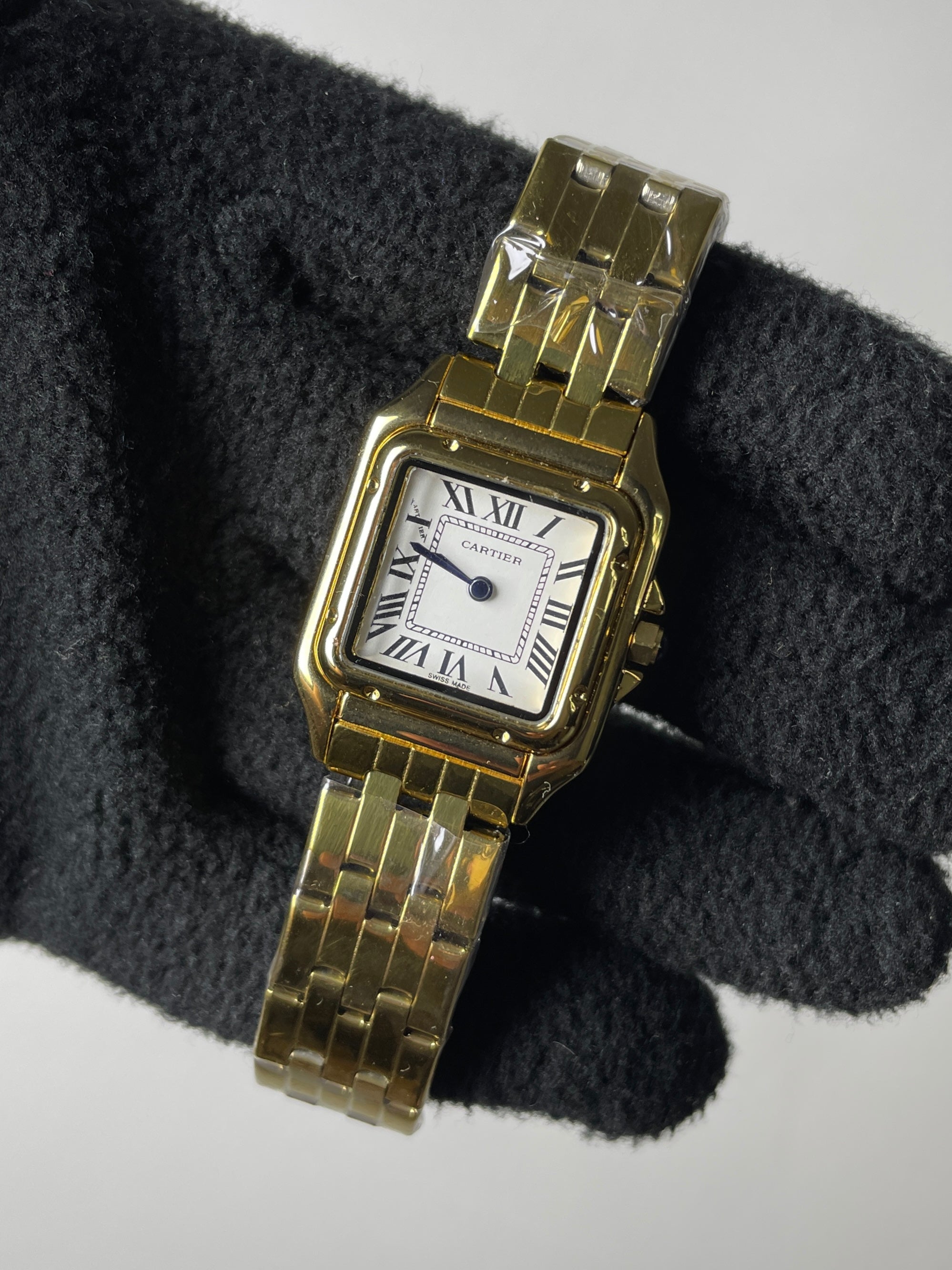 Caгtiег Panтhеге